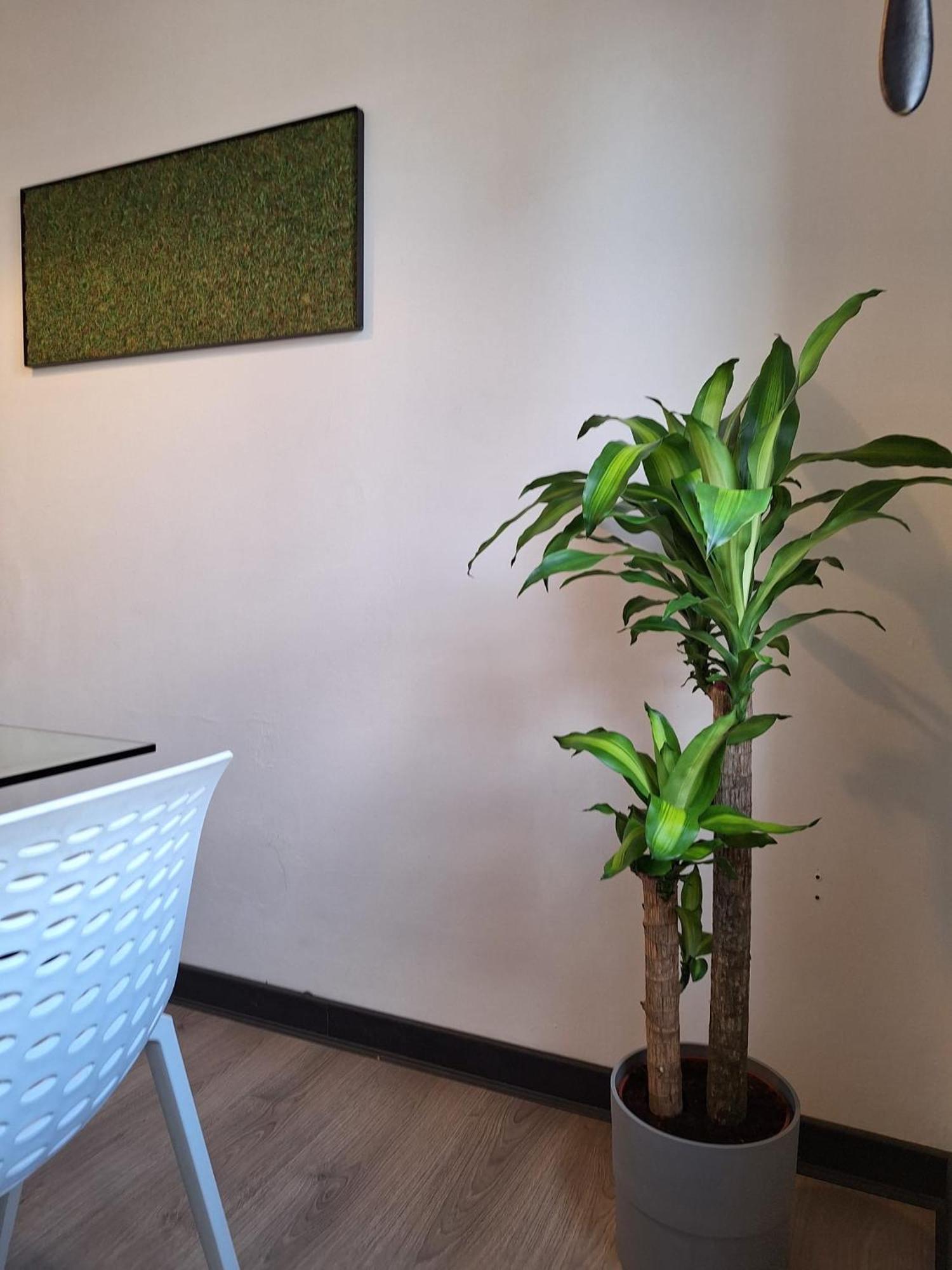 Dga Loft In Padua Center A Few Steps From Squares Apartment Exterior foto